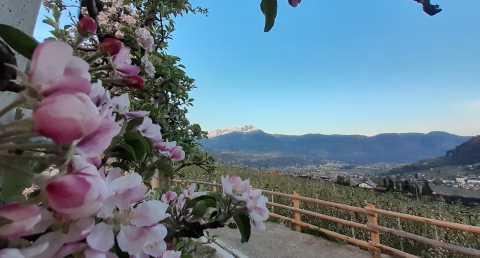 Escursioni e tour in mountain-bike a Merano e dintorni
